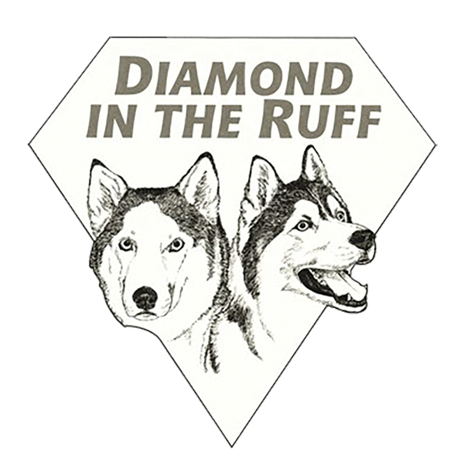 Diamond in the Ruff Pet Spa & Boutique