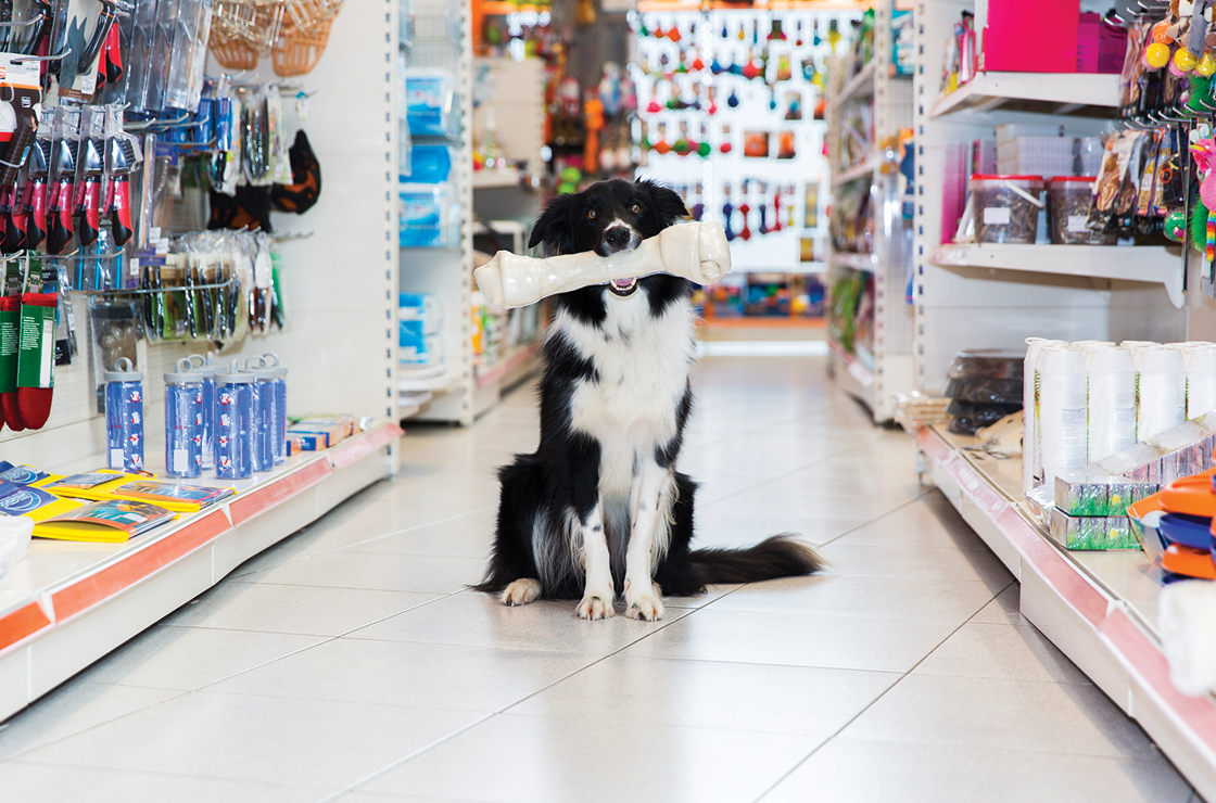 Cozy Corner's Village Pet & Feed